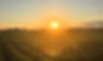 Eley Ag sunset
