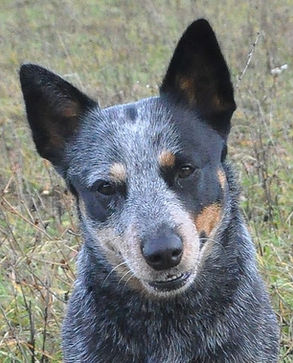 DSC_0022_edited (2)_edited_edited.jpg