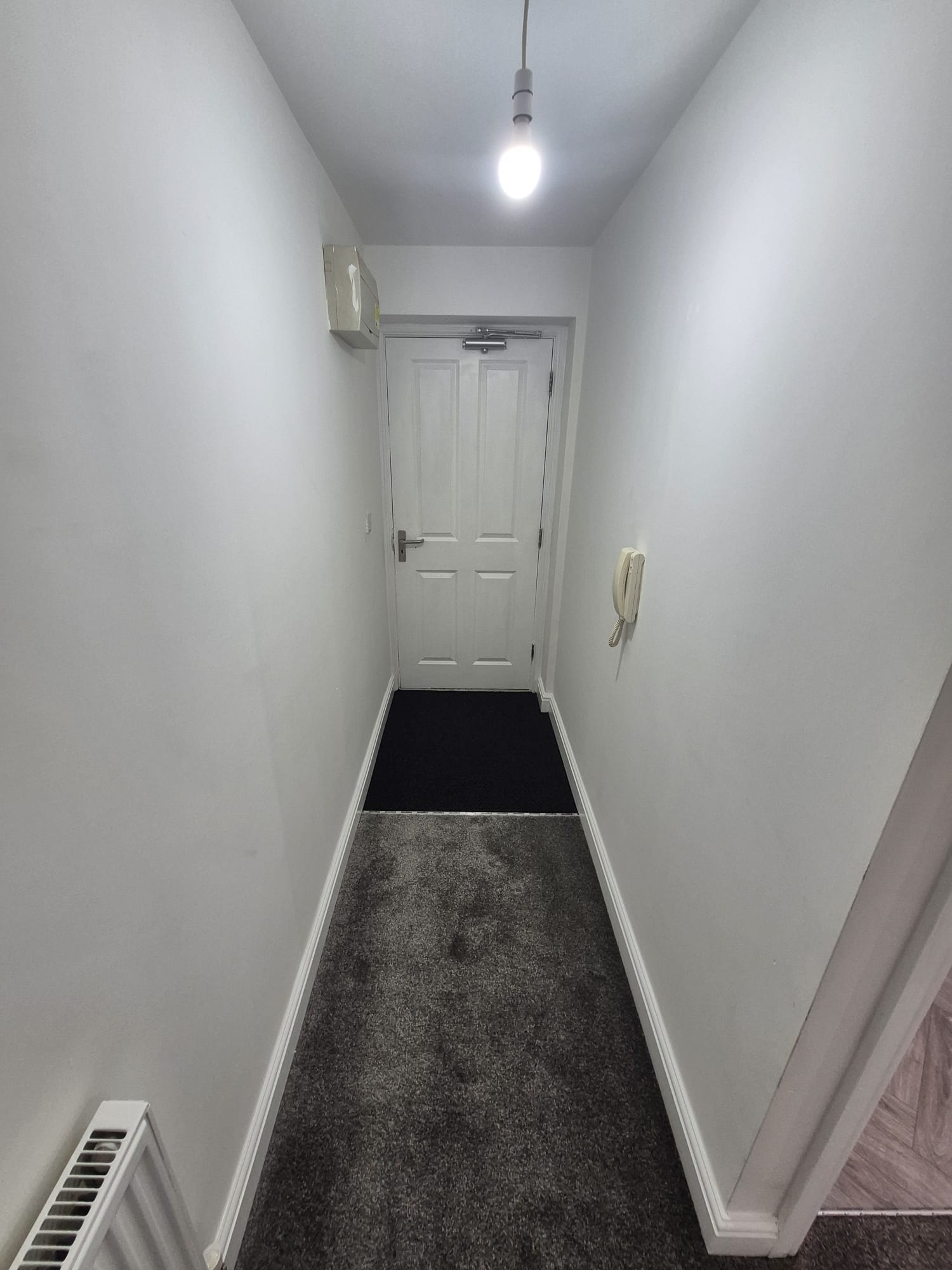 Property renovation — hallway with new carpet and fresh paint