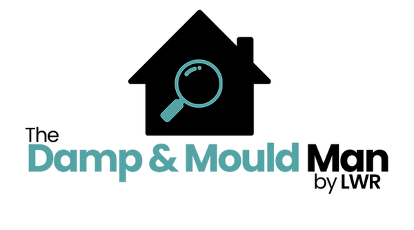 The Damp & Mould Man — Professional Surveys Lincoln