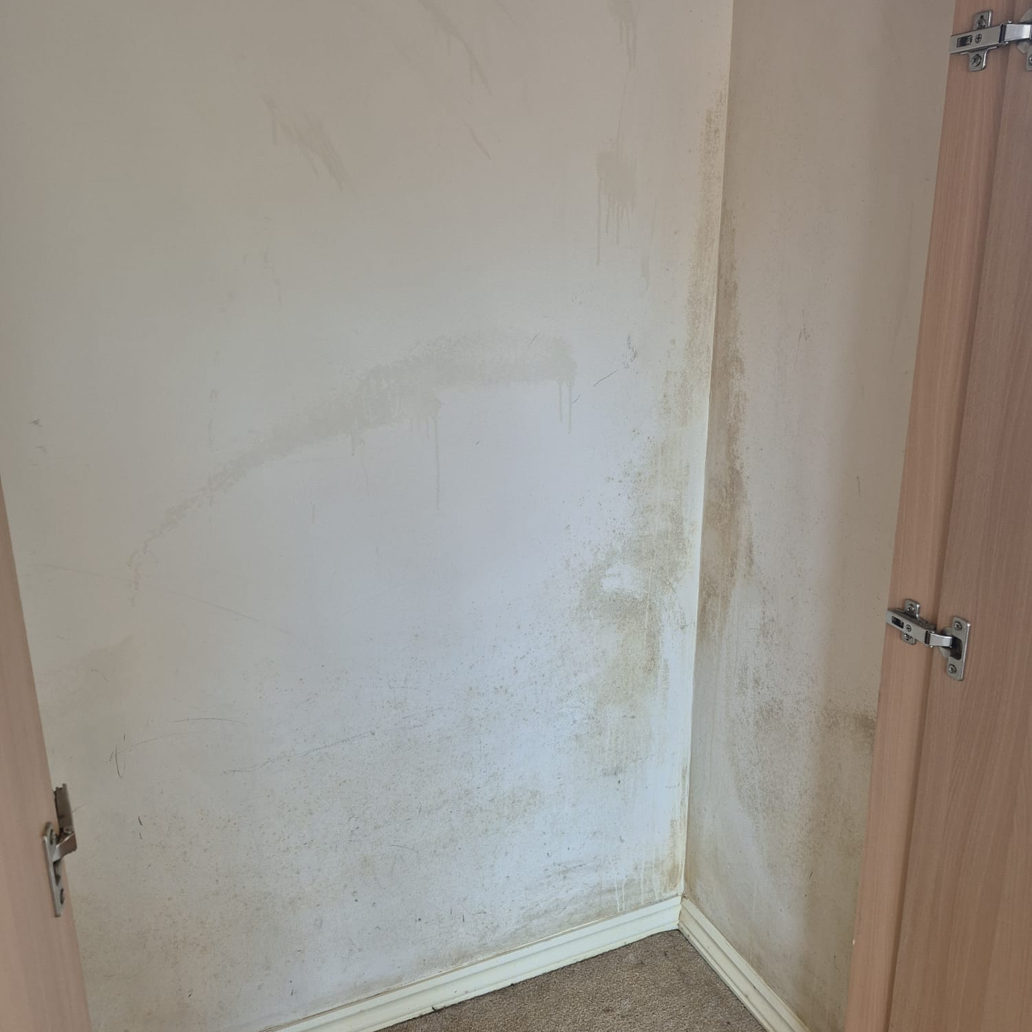 Before — Painting and decorating — before and after