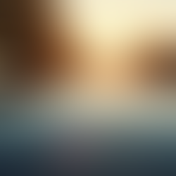 The Ultimate Guide to Vehicle Paint Care