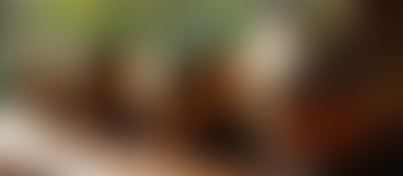 Discovering the Harmony of Sound Healing and Reiki