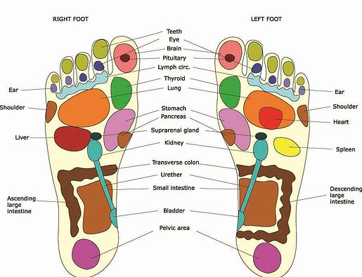 reflexology 3.jpg