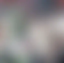 Broncos Rack Up Nine Sacks to Edge Winless Jets 13-11 in Sloppy London Matchup