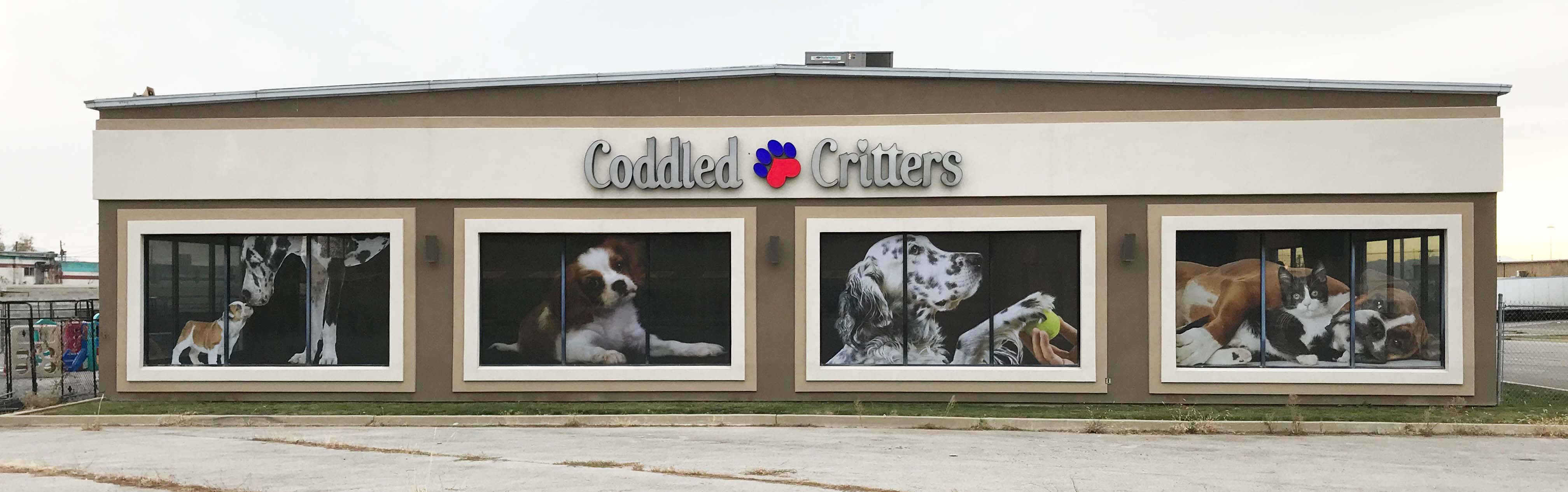 Coddled Critters
