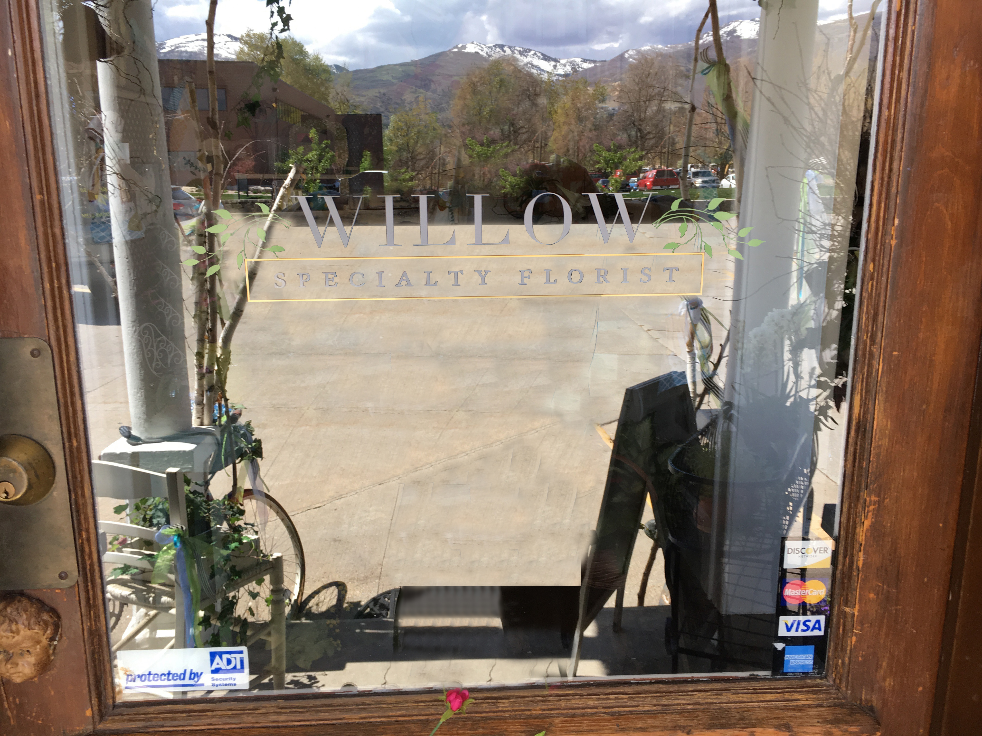 Willow Specialty Florist