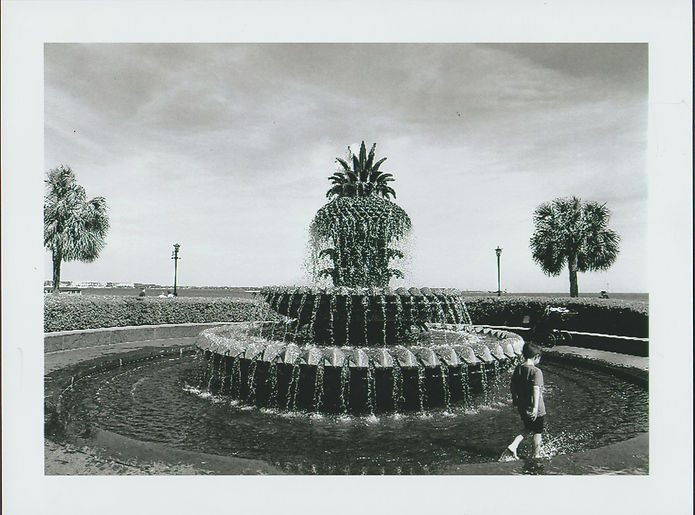 Pinapple Blues 2018.jpg