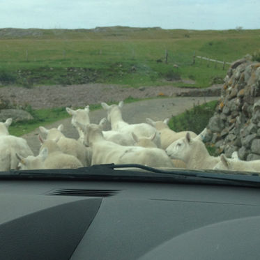 Am I Going The Right Way?