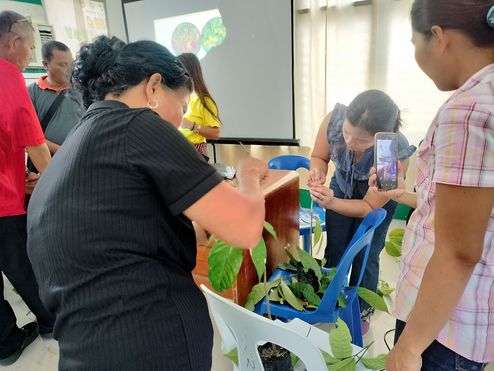 JULY 17 | OFFICE OF THE MUNICIPAL AGRICULTURIST