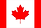 download (12).png