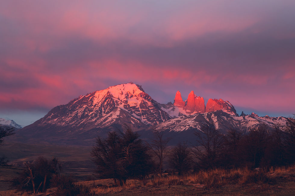 Picturesque Torres del Paine Views