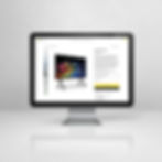 Computer Screen with AV Website.jpg