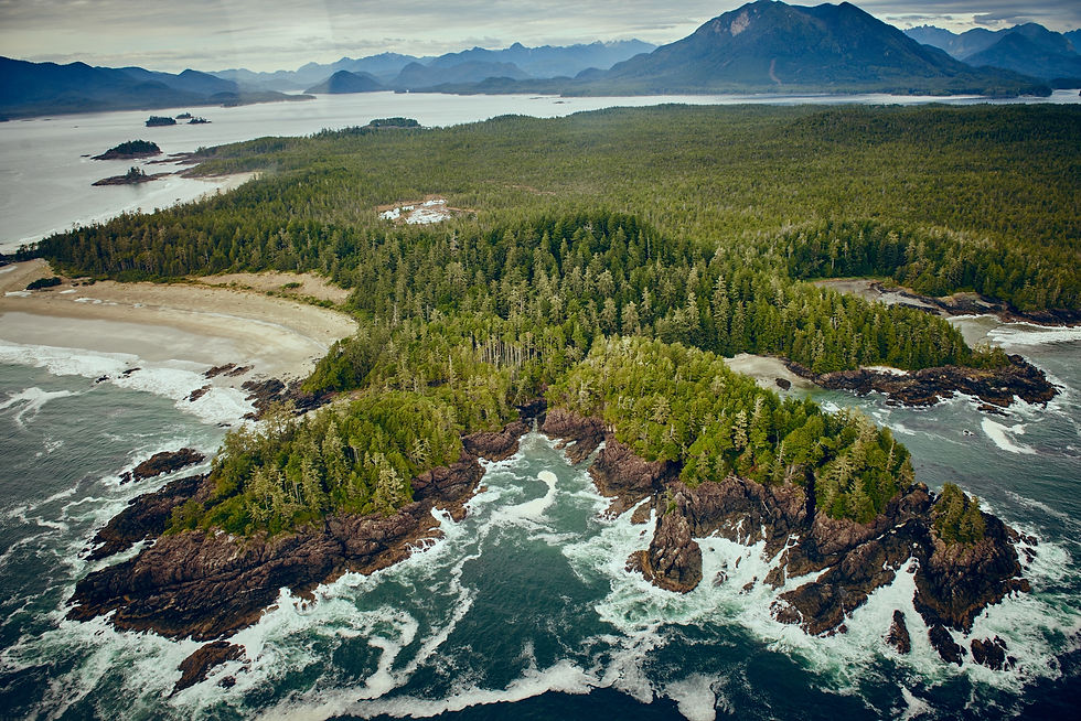 Aerial of Vargas Island