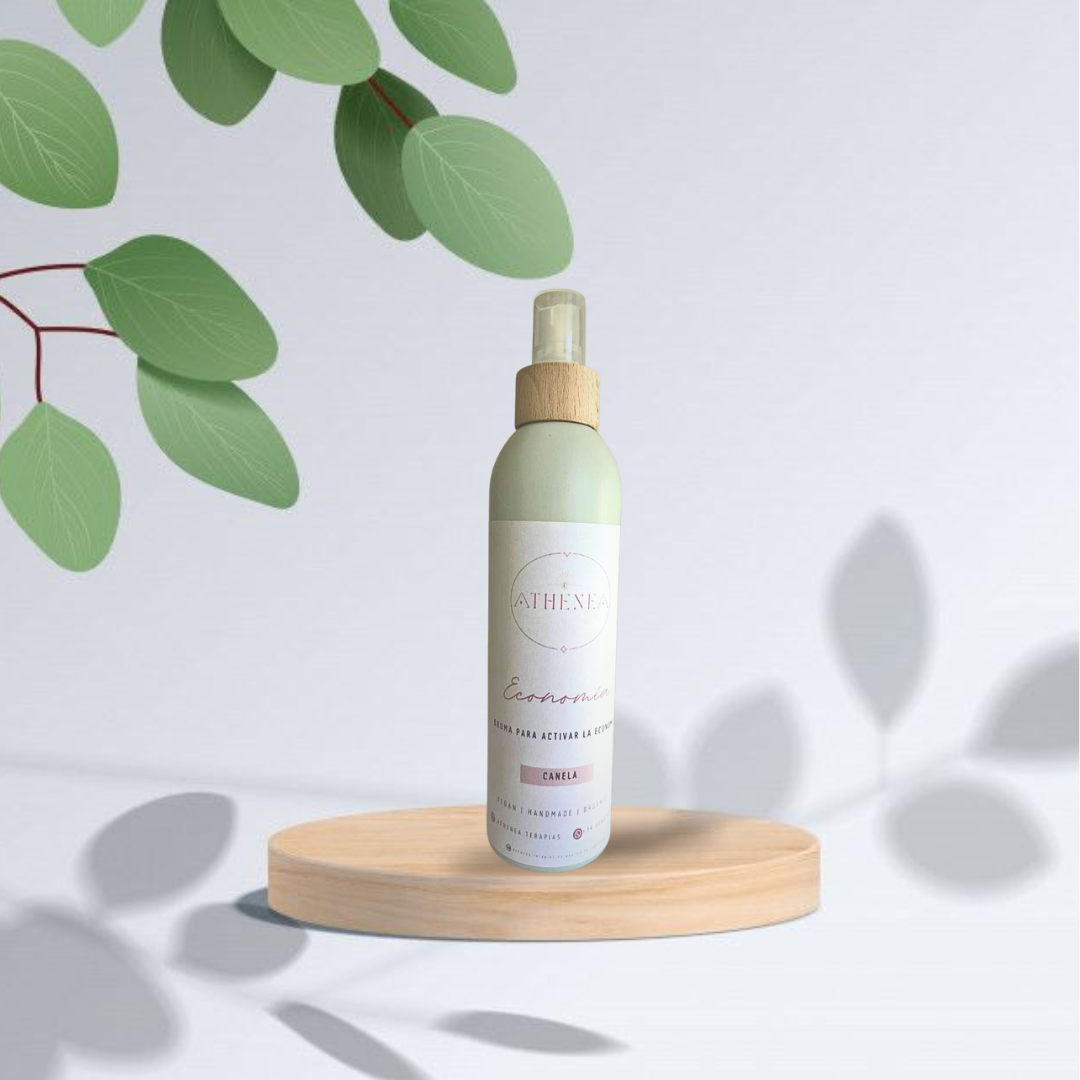 Bruma creadora Economía