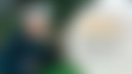 Lebanese Cedar Trees: An In-Depth Look into History and Identification