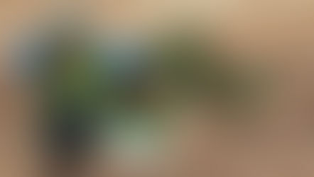 Discover Bolney's Tranquil Outdoor Wellness Retreat 