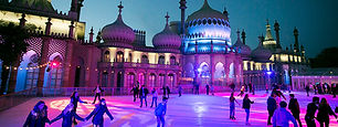 IMG_7293.jpg