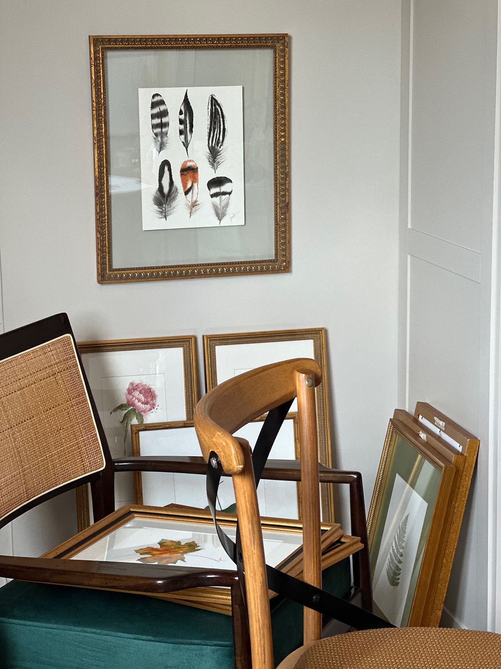 Obra Série Botânica • Penas - 43x55cm