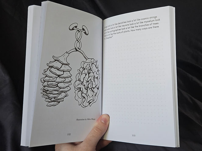 Photo of the Mushroom School workbook with the illustrations featured inside