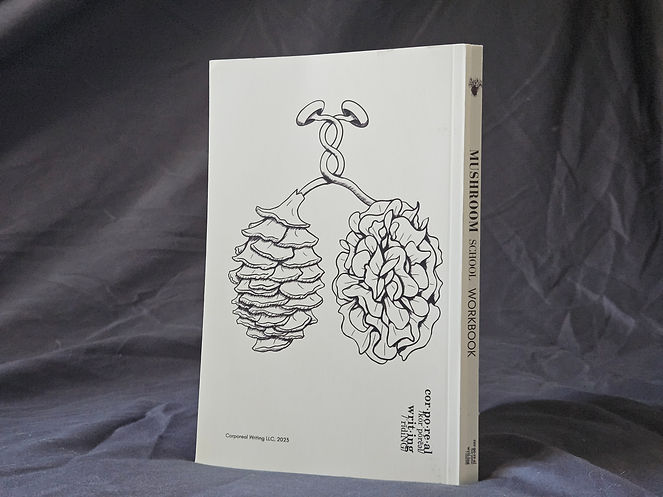 Photo of the Mushroom School workbook with the illustrations featured inside