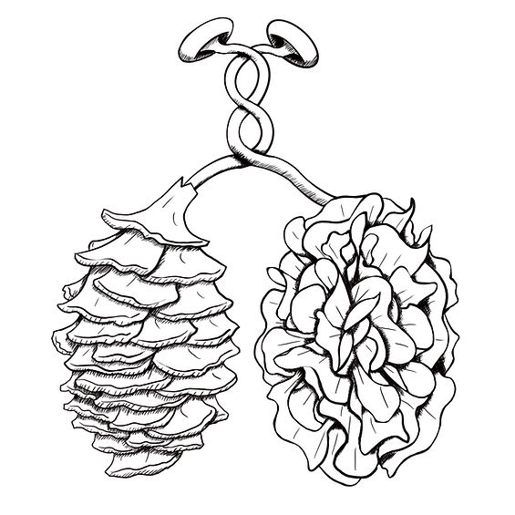 AirFungus_Line1.jpg
