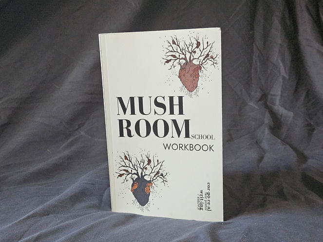Photo of the Mushroom School workbook with the illustrations featured inside