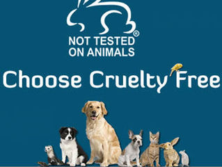 The Truth About Animal Testing