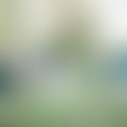 5 tendencias de fotografía de bodas para 2025