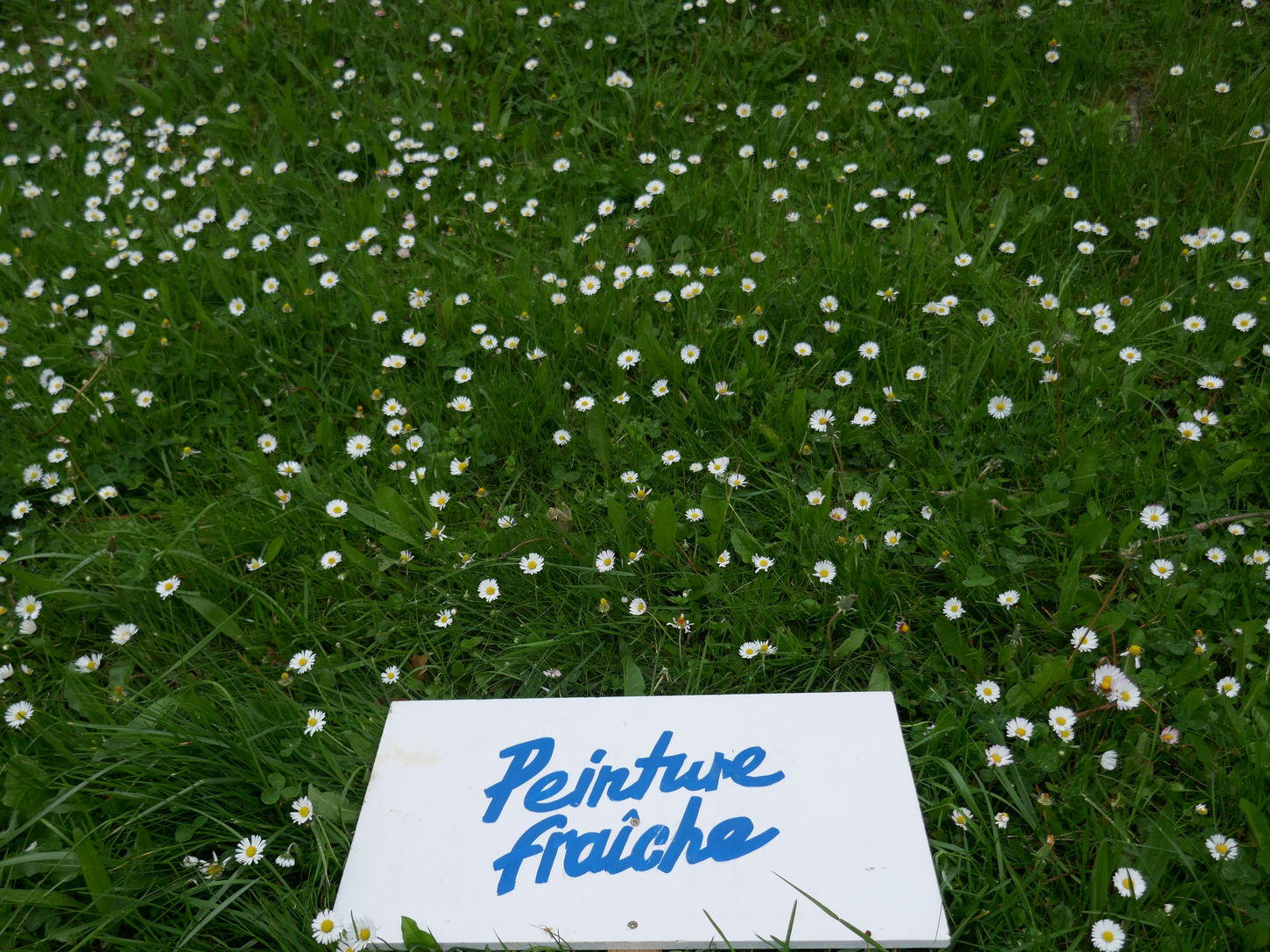 photo(s) du jour: 12 juin 2022