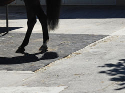 200805_vandoeuvres_4