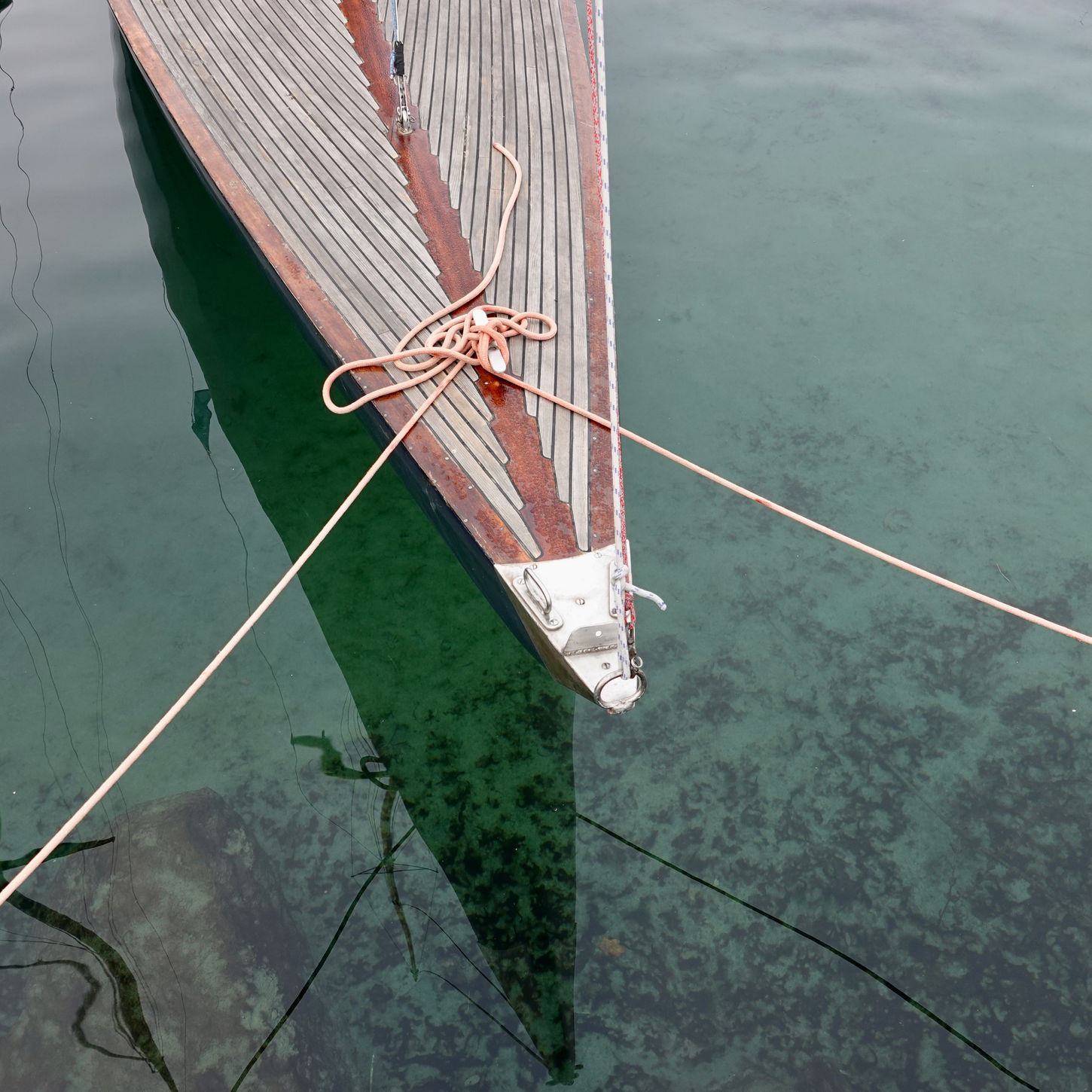 photo(s) du jour: 27 novembre  2025 | bernard meier