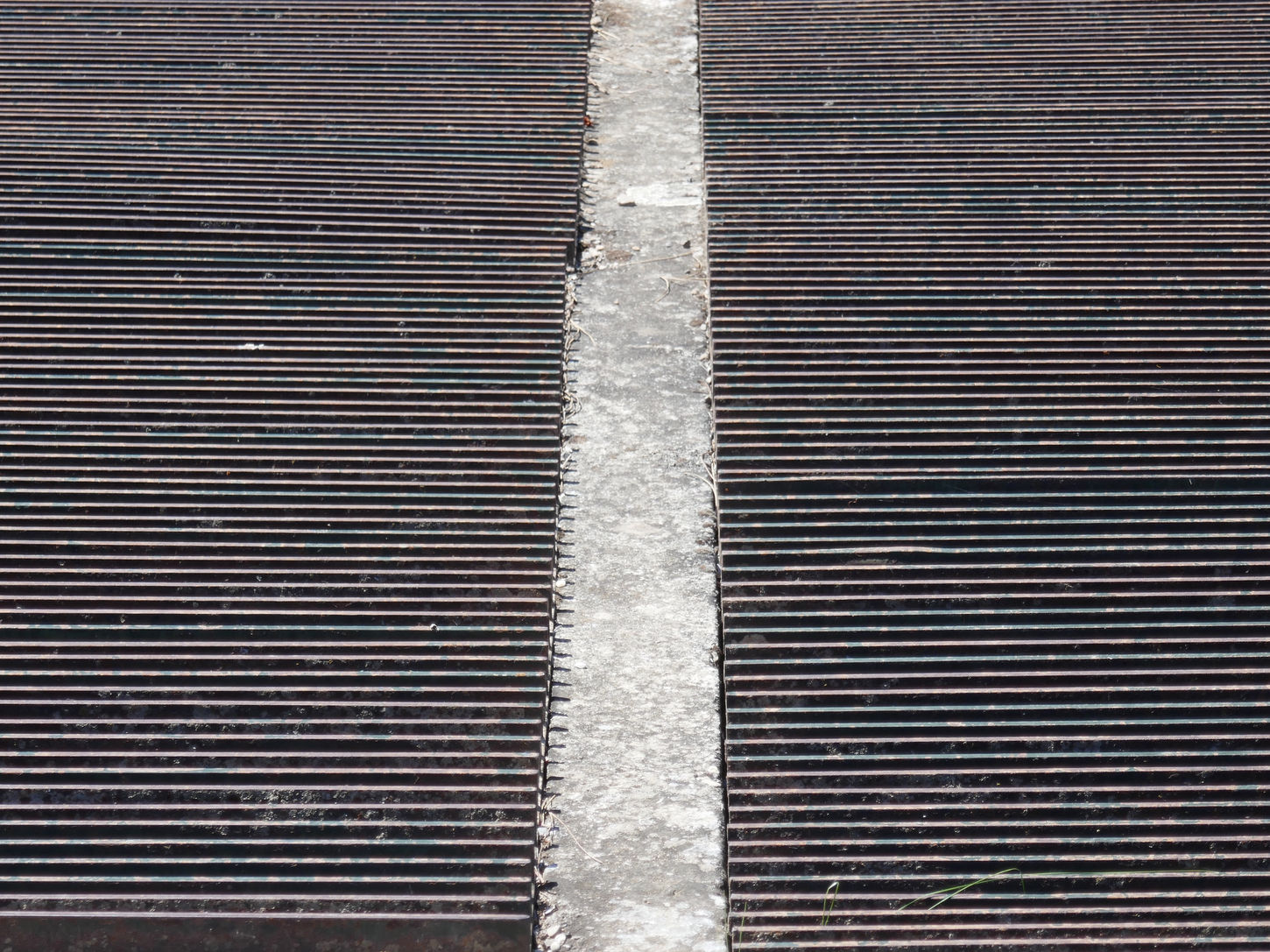 photo(s) du jour: 30 juin 2022