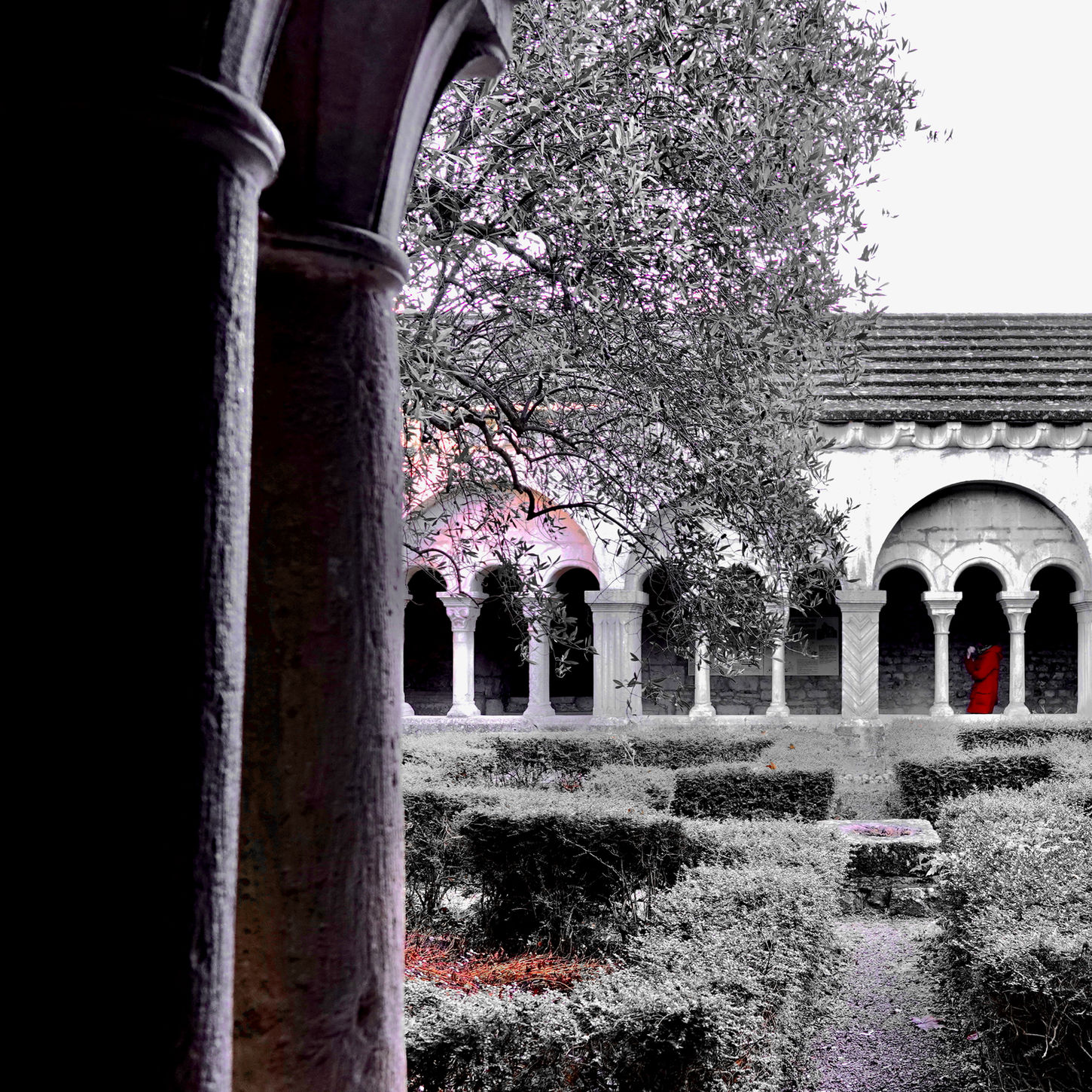 photo(s) du jour: 7 février  2026 | bernard meier