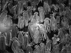 210415_museum_11
