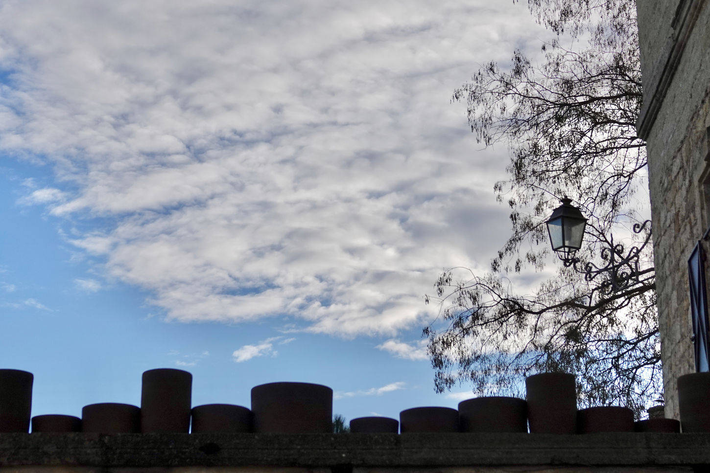 photo(s) du jour: 27 janvier  2026 | bernard meier