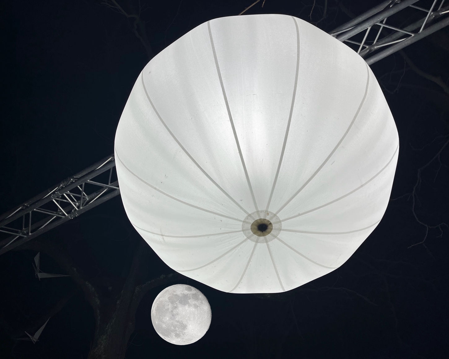 photo(s) du jour: 25 décembre  2025 | bernard meier