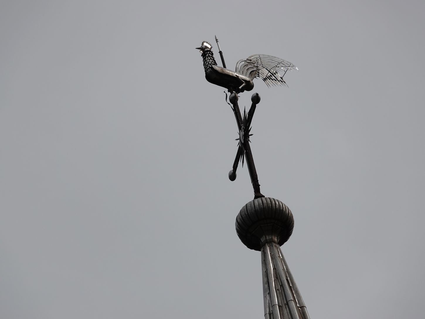 photo(s) du jour: 1er septembre 2026 | bernard meier