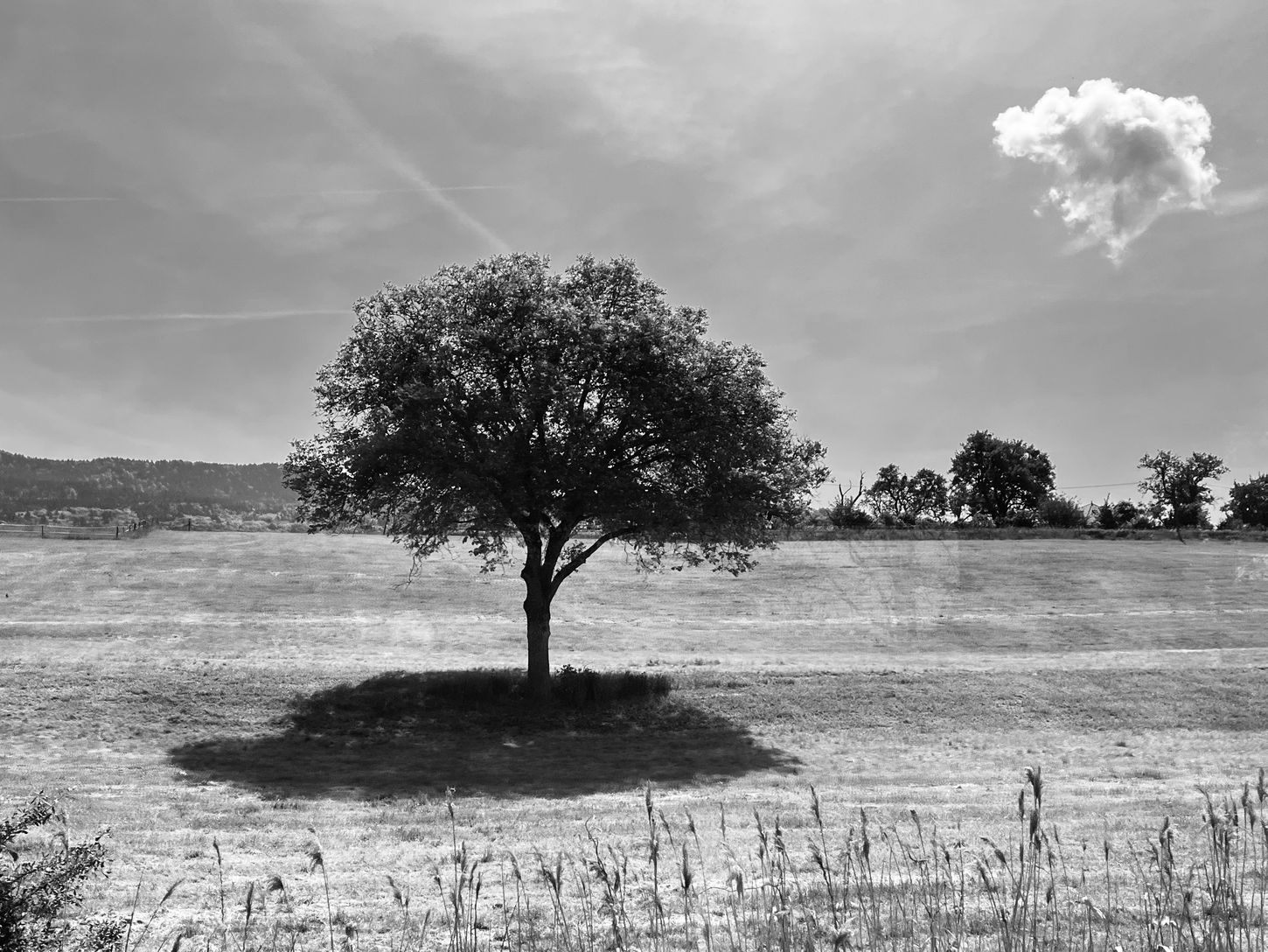 photo(s) du jour: 25 juin 2022