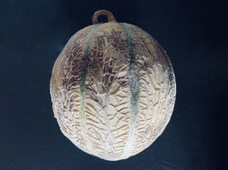 200726_melon