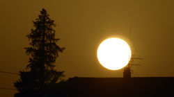 210224_moachon_nature