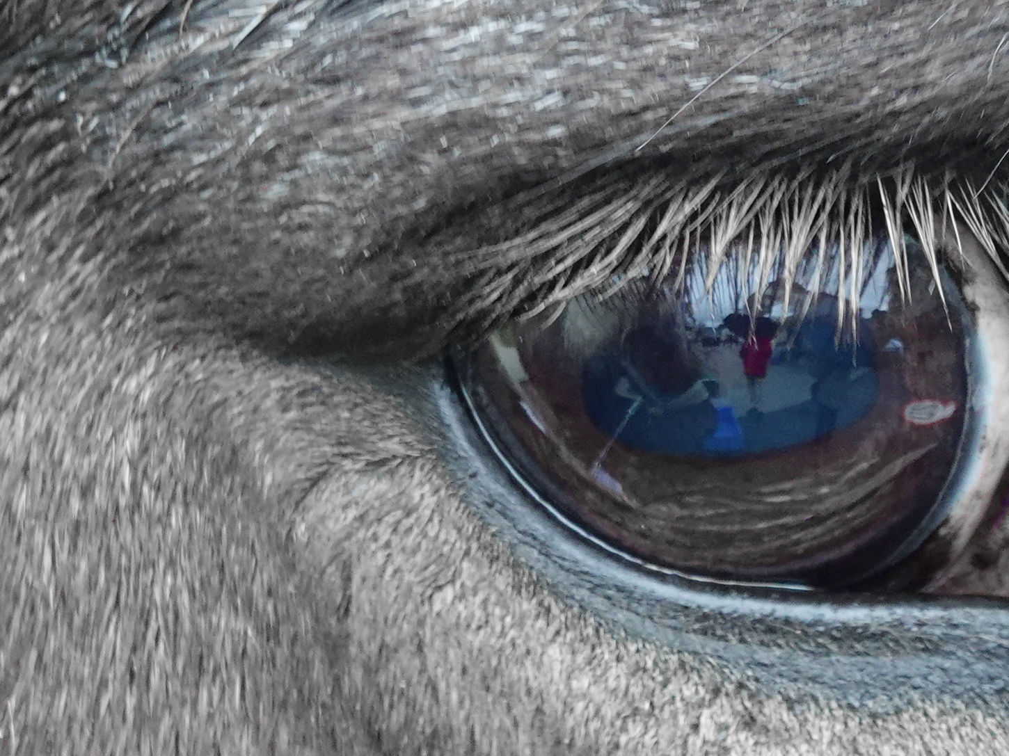 photo(s) du jour: 9 décembre  2025 | bernard meier