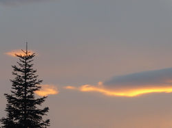 210410_moachon_nature_1