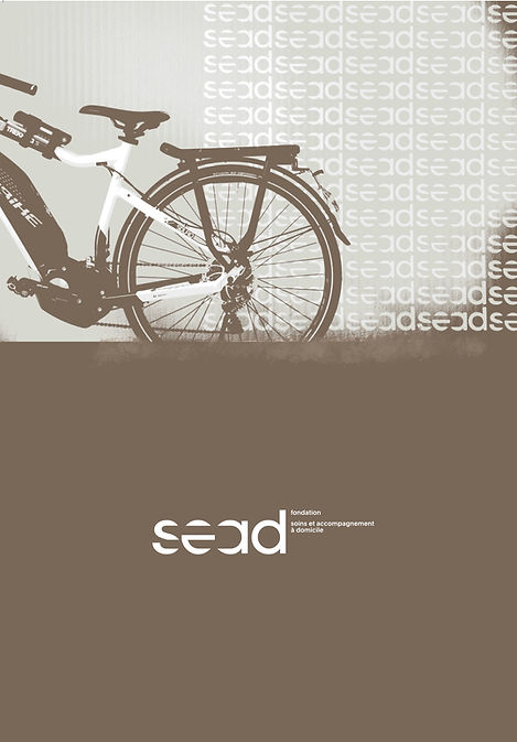 fondation_sead.jpeg