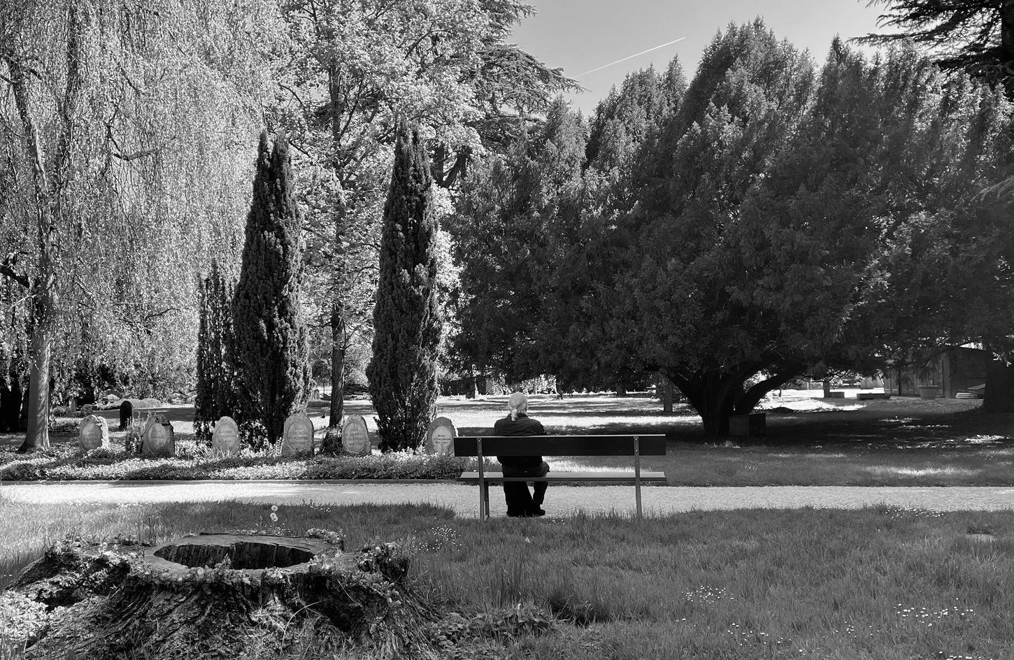 photo(s) du jour: 16 juin 2022