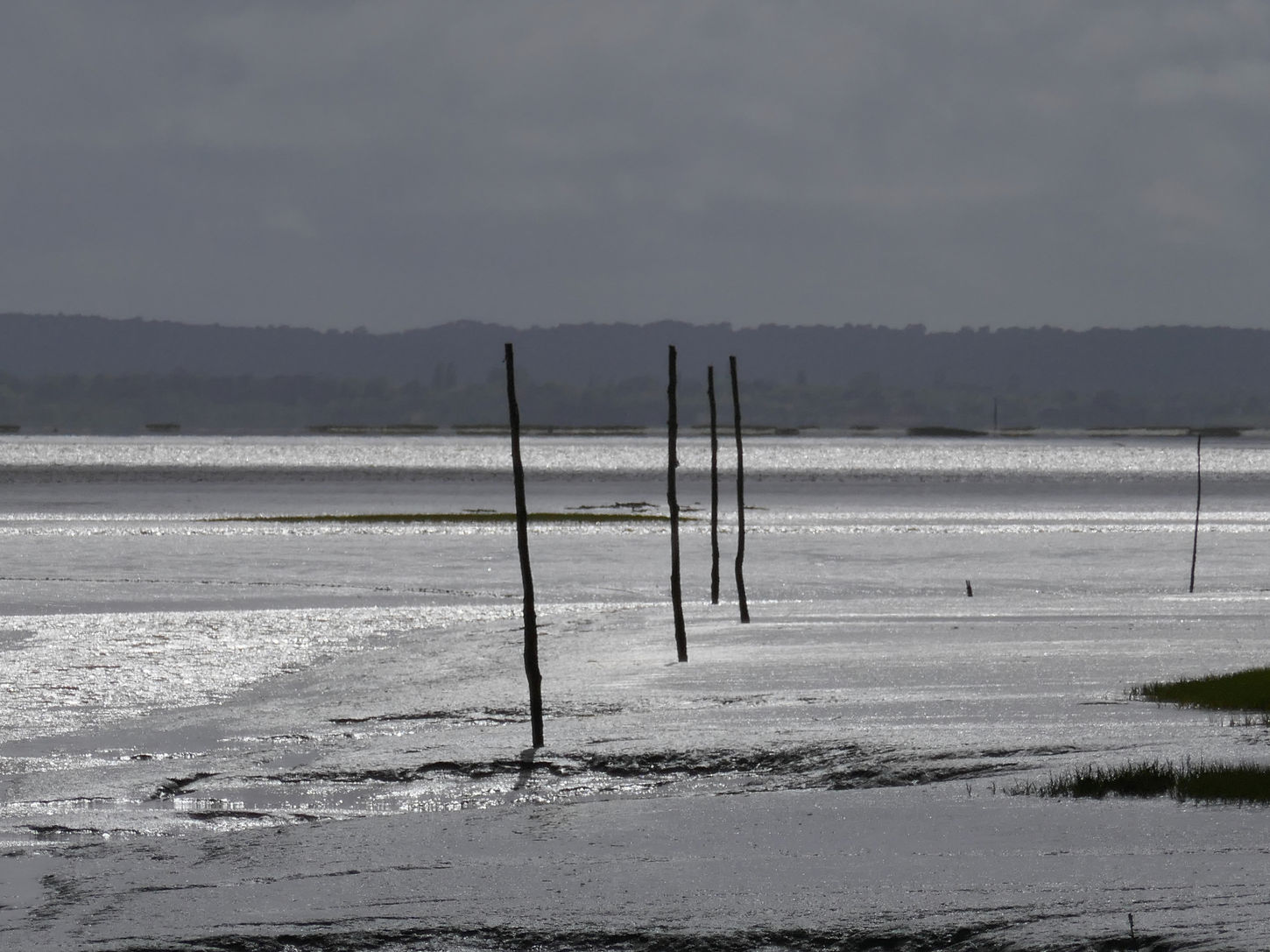 photo(s) du jour: 13 juin 2022