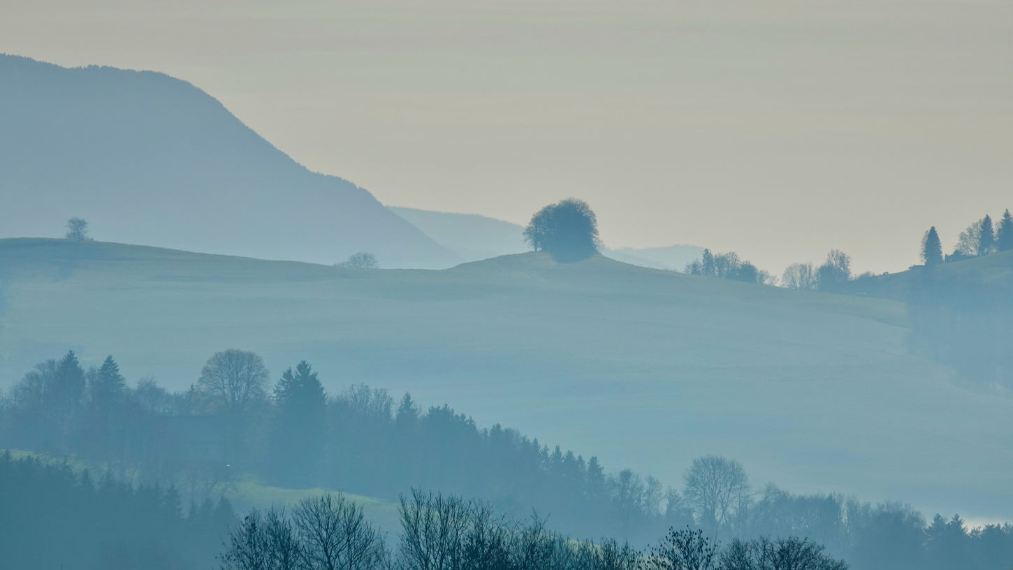 photo(s) du jour: 31 décembre  2025 | bernard meier
