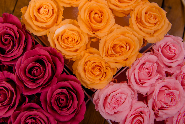 Roses éternelles Des Fleurs Préservées Ou Stabilisées Pour