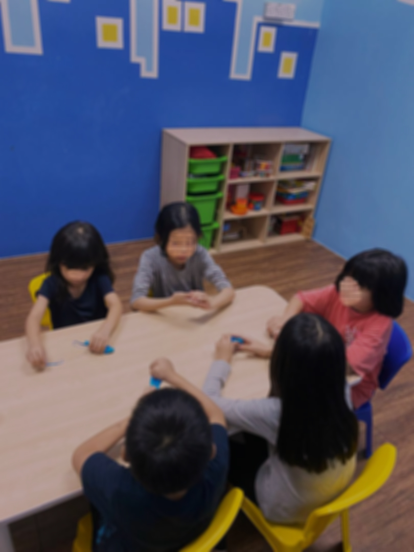 EIP Early Intervention Program YOUNGFERNS Ipoh Perak