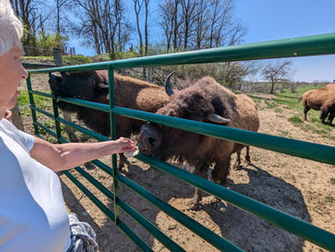 Boss Bison Ranch, Attractions to Visit in Harrison County, Ohio